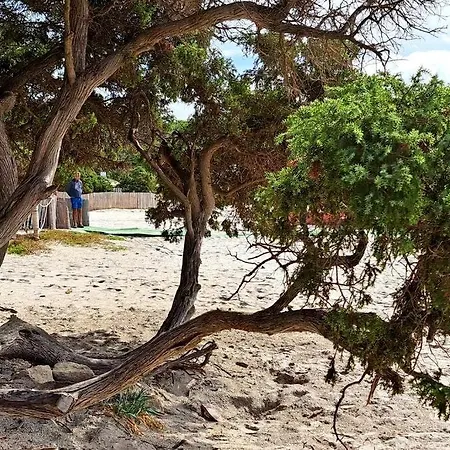 La Casa Di Tina * Alghero